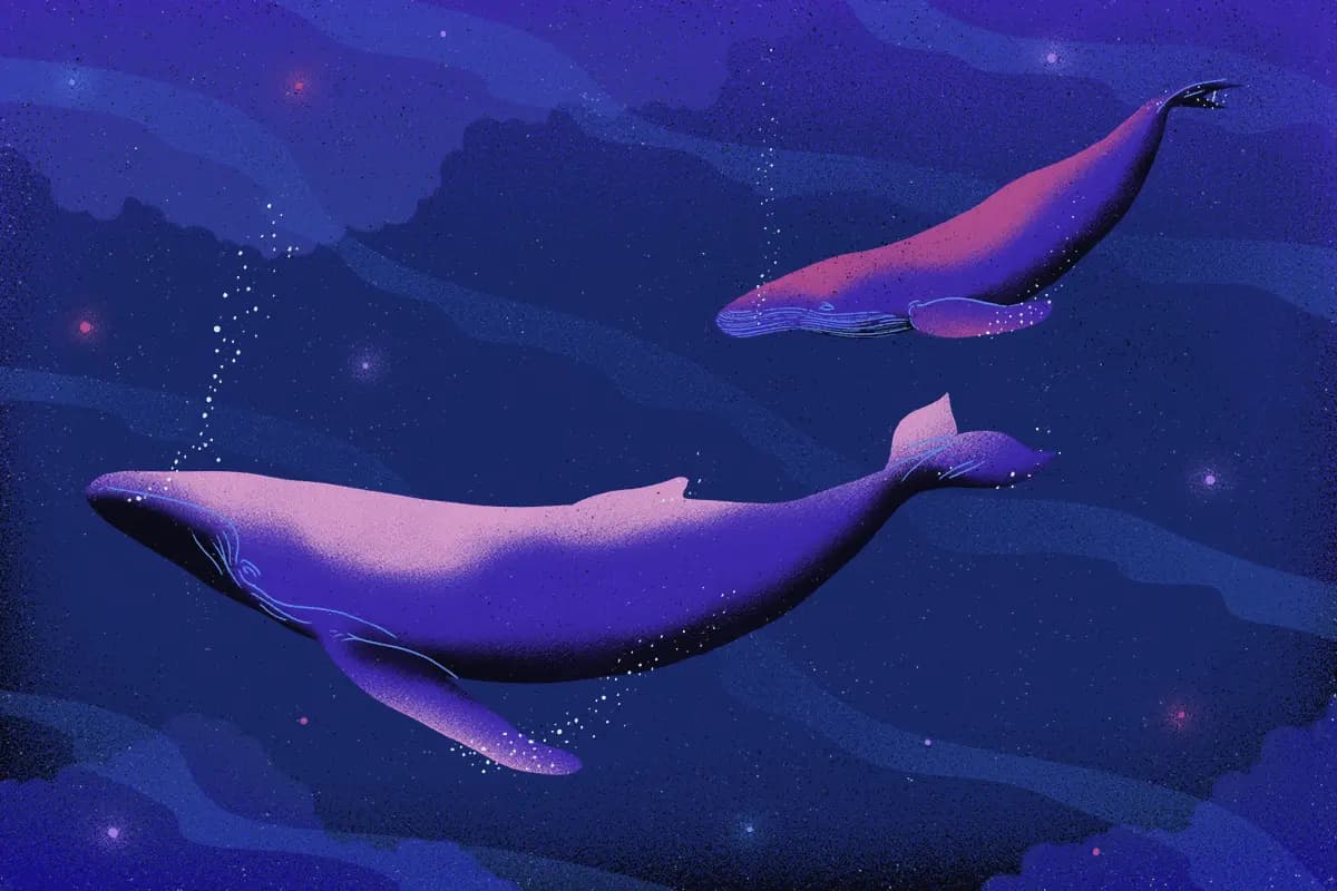 5 Fascinating Facts About Sleep and Dreams
