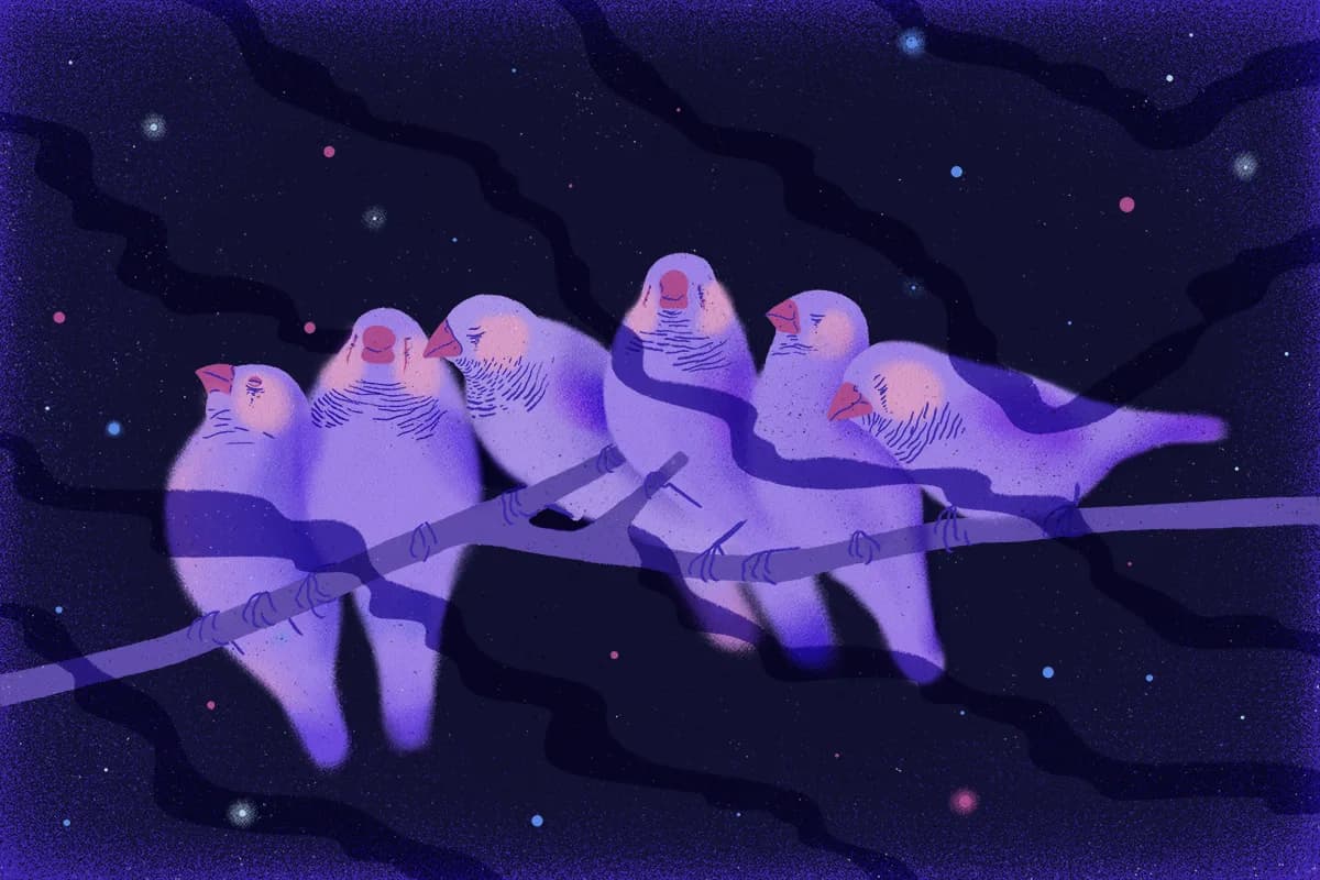 Do Animals Dream? What Science Says
