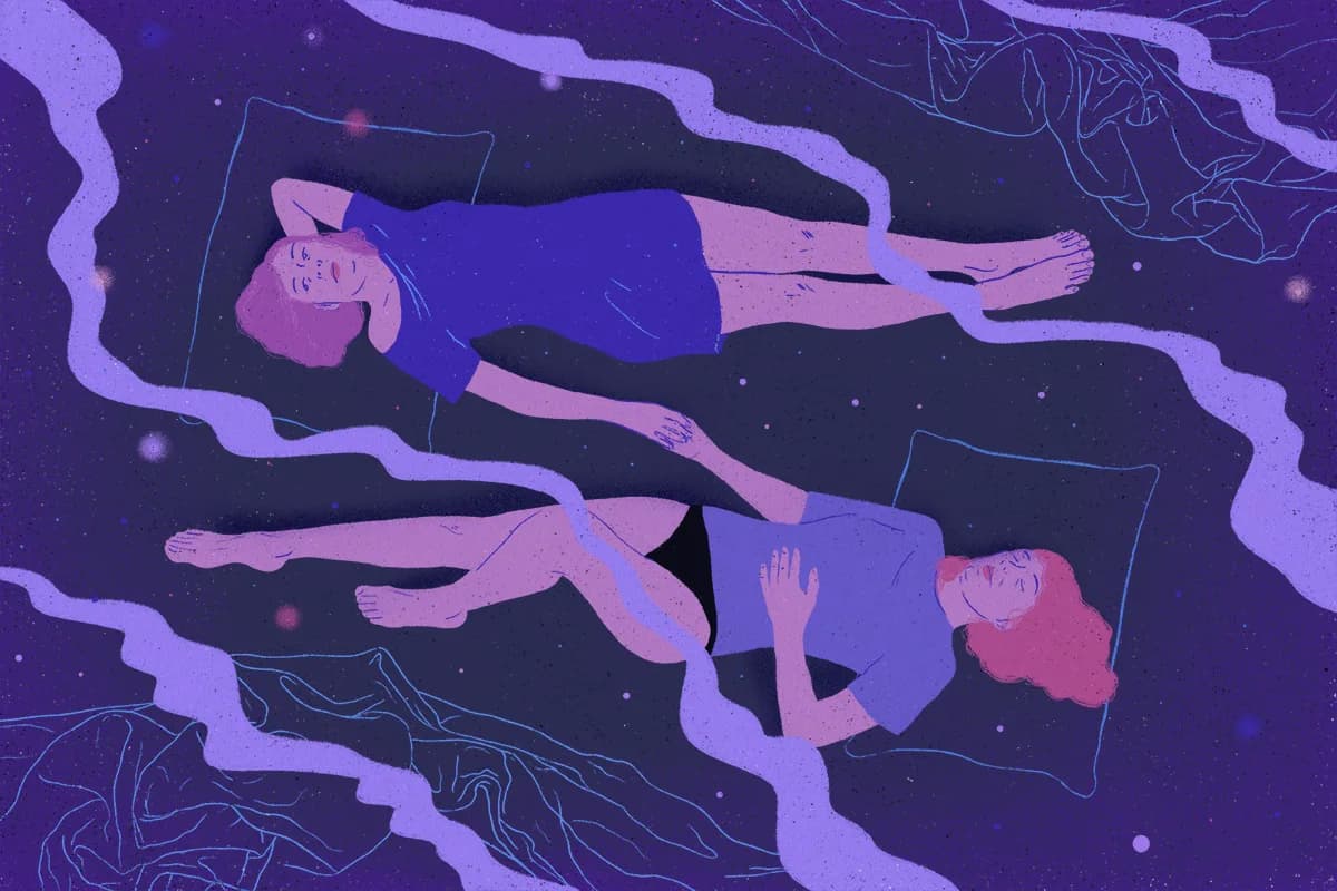 Partner Assisted Lucidity Technique (PAL)