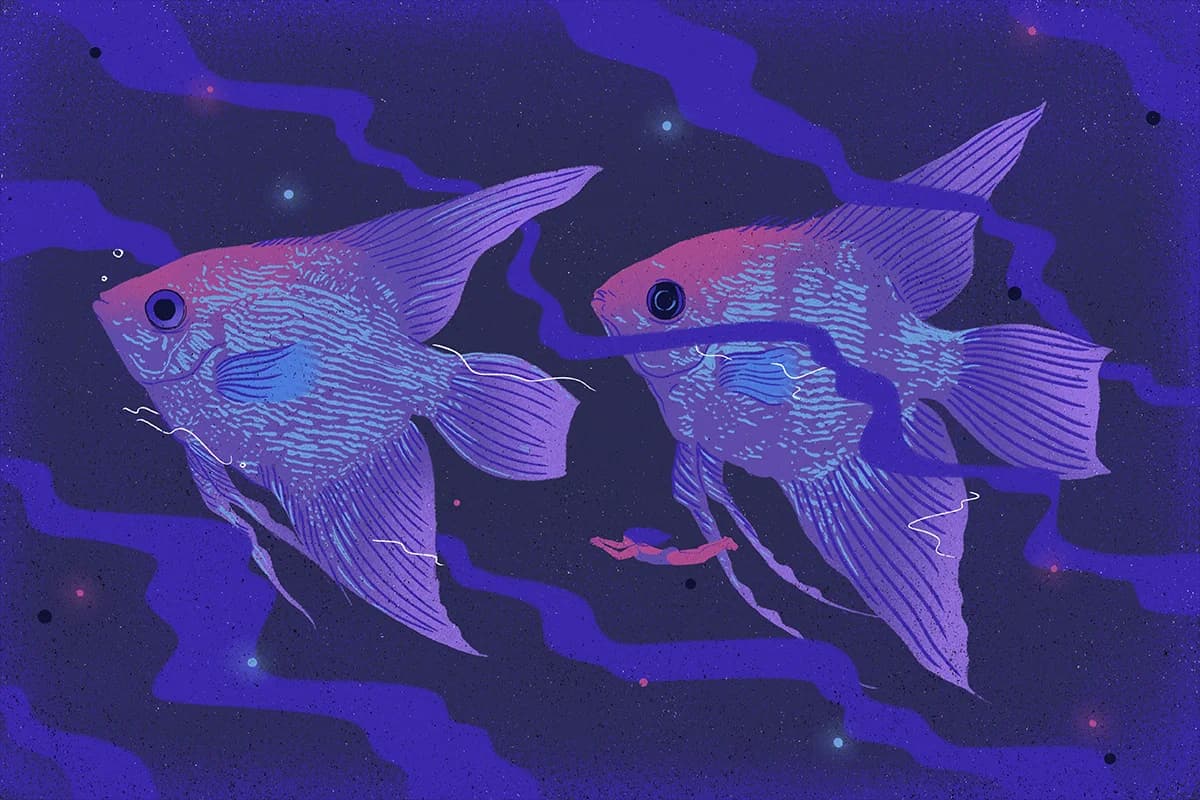 Lucid Dreams: What They Are, and Why They're Awesome