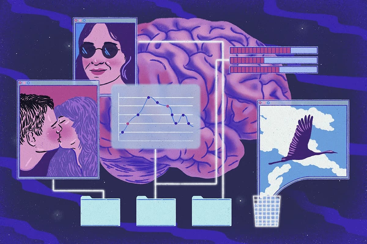 The Function of REM Sleep and Dreams