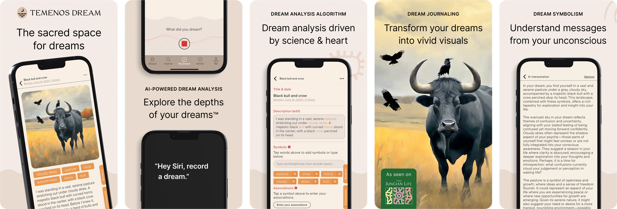 5 screenshots from the Temenos Dream app's store listing