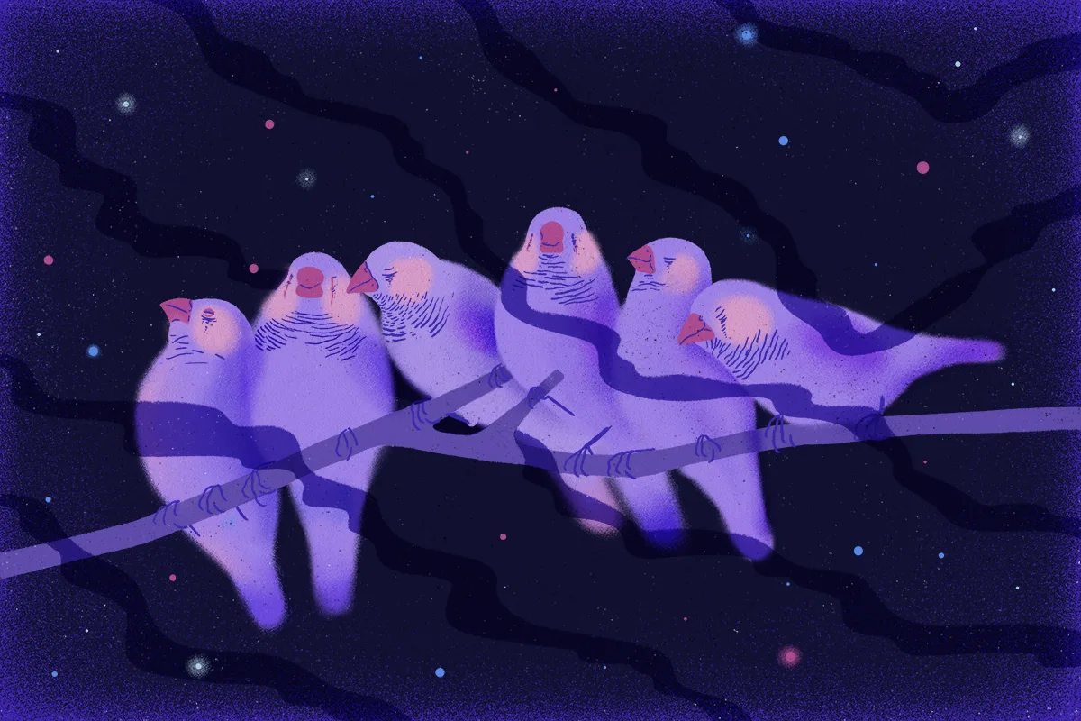 Do Animals Dream? What Science Says