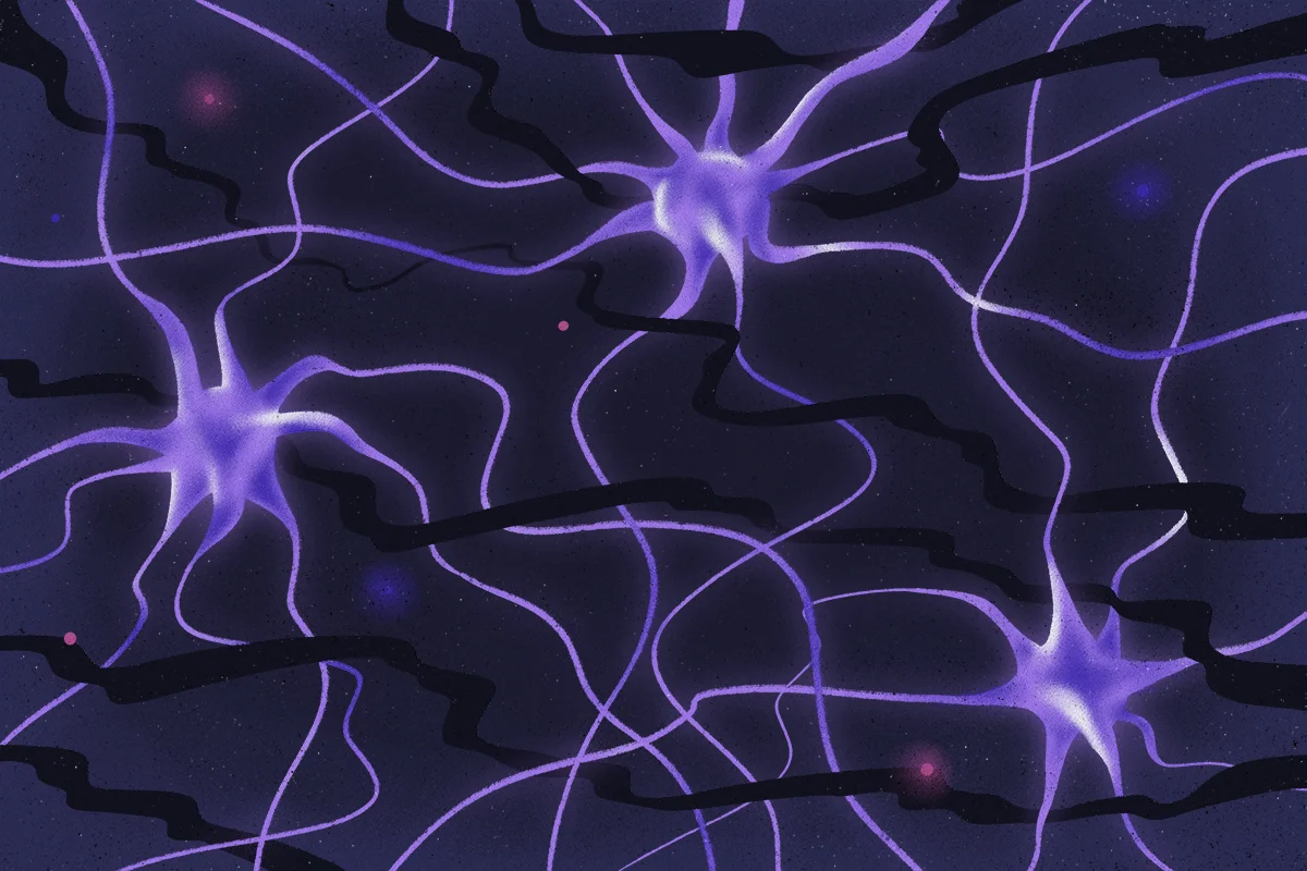 The Neuroscience Behind Lucid Dreams Explained