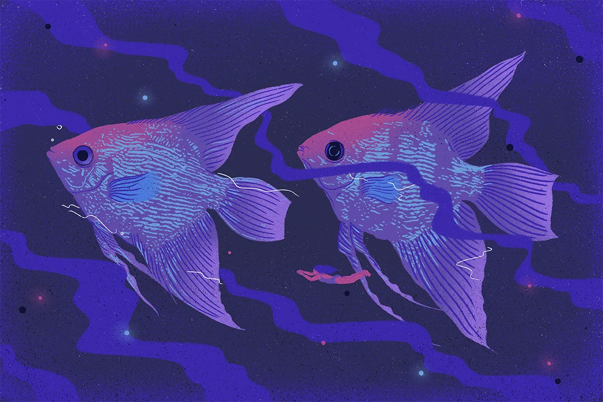 Lucid Dreams: What They Are, and Why They're Awesome
