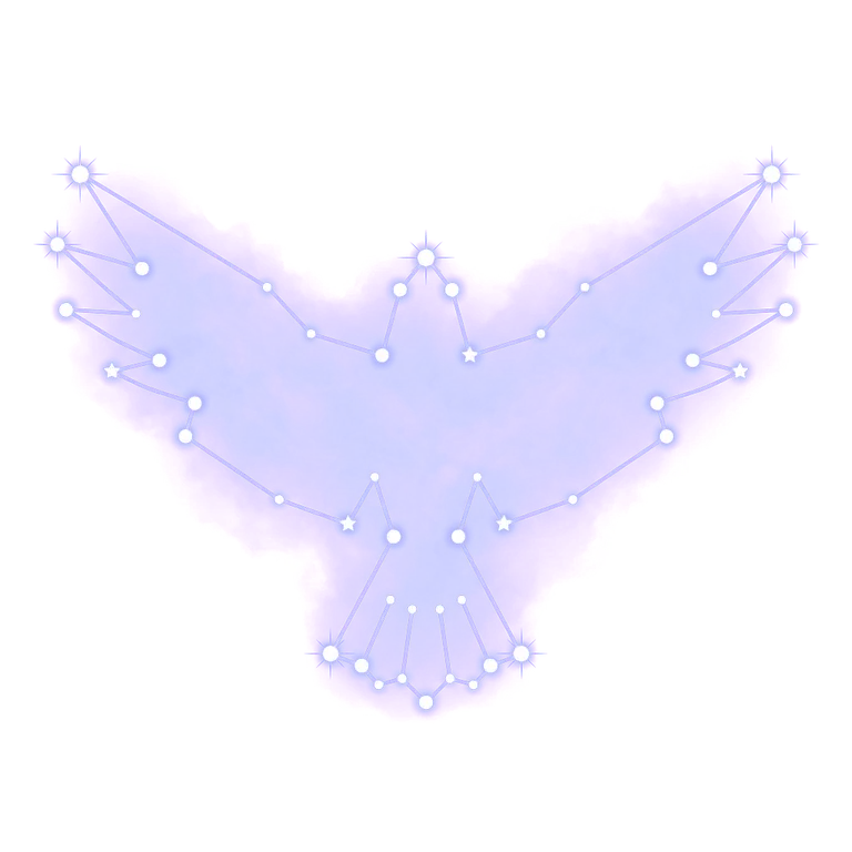 A constellation drawing of birds
