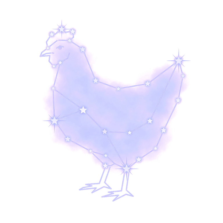 A constellation drawing of chickens