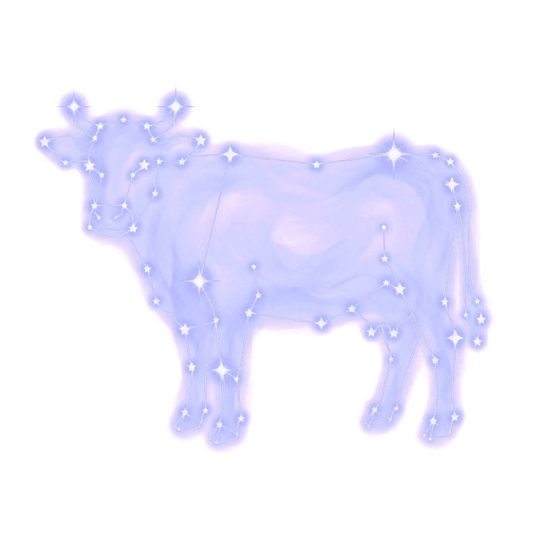 A constellation drawing of cows