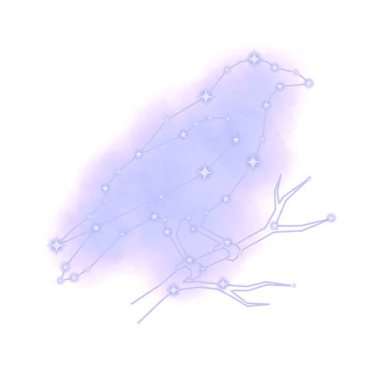 A constellation drawing of crows
