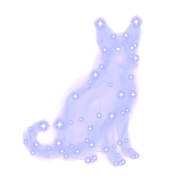 A constellation drawing of dogs