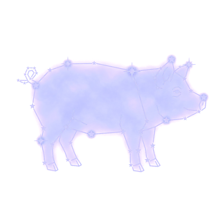 A constellation drawing of pigs