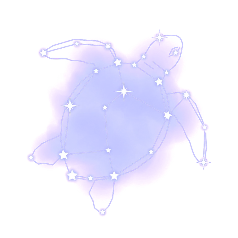A constellation drawing of turtles